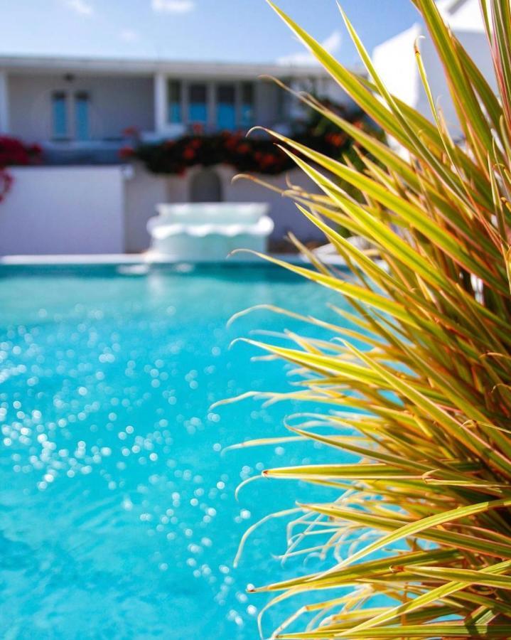 Trade Winds Hotel Dickenson Bay Bagian luar foto