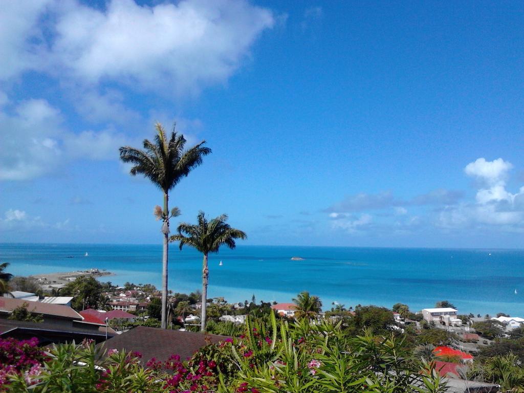Trade Winds Hotel Dickenson Bay Bagian luar foto