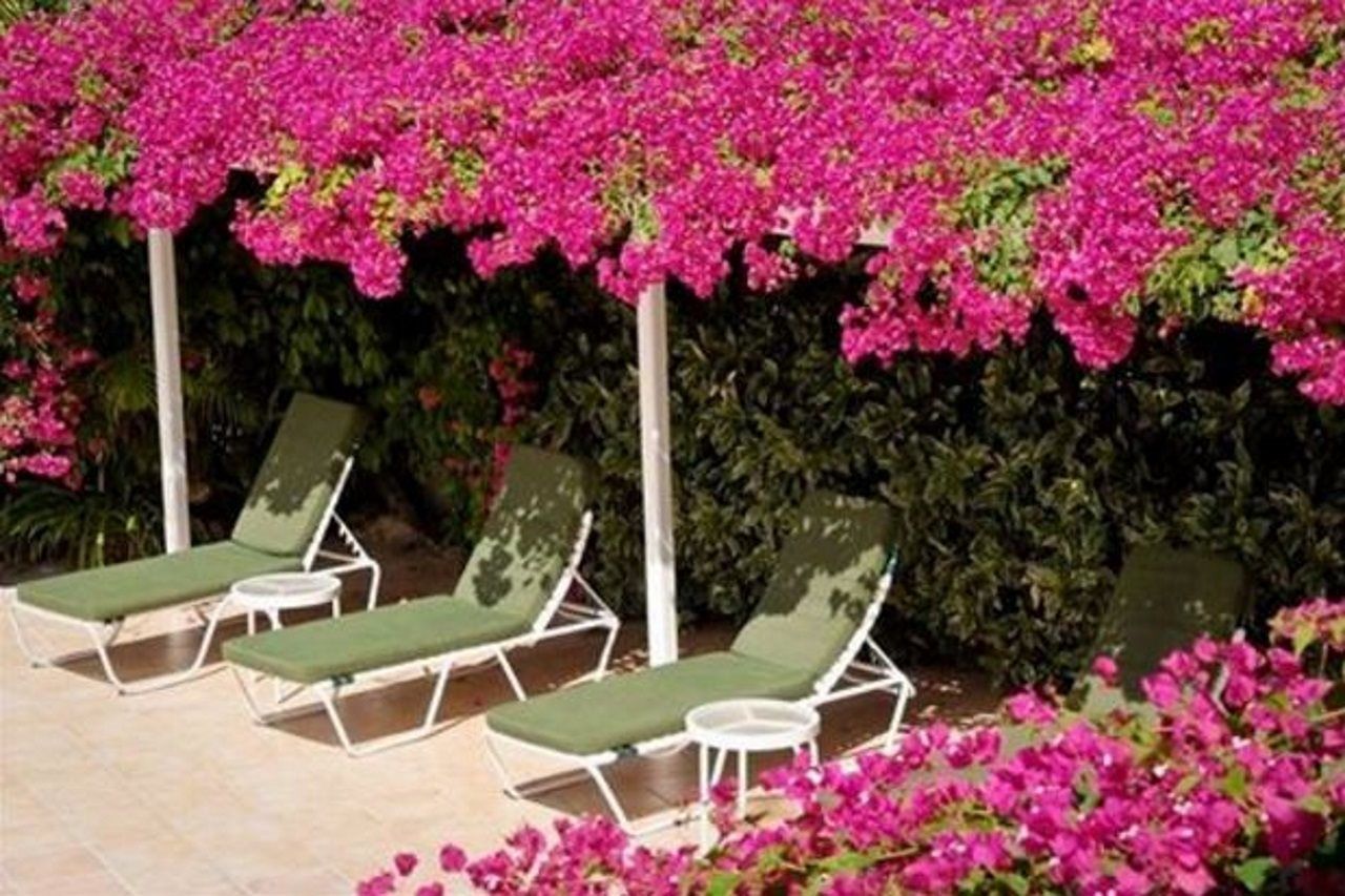 Trade Winds Hotel Dickenson Bay Bagian luar foto