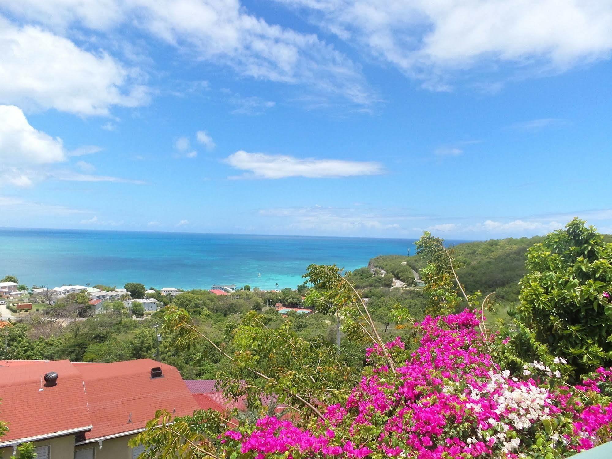 Trade Winds Hotel Dickenson Bay Bagian luar foto